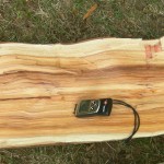 Controllo della stagionatura del legno